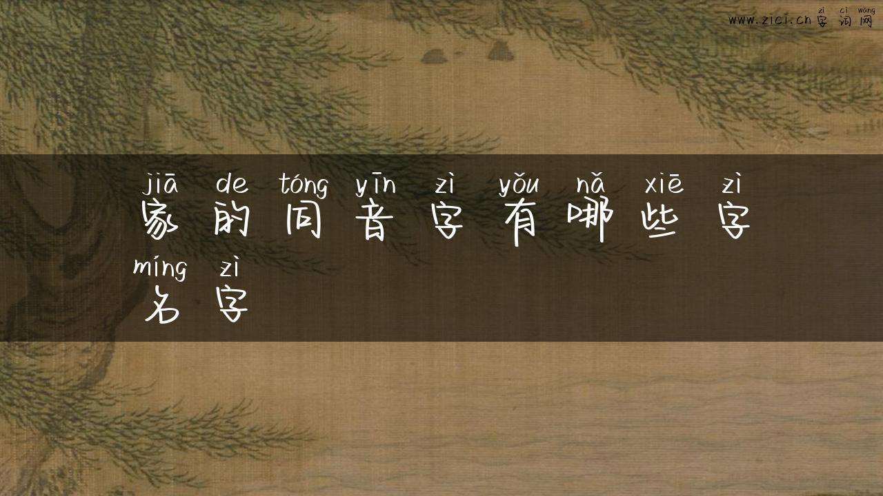 家的同音字有哪些字名字