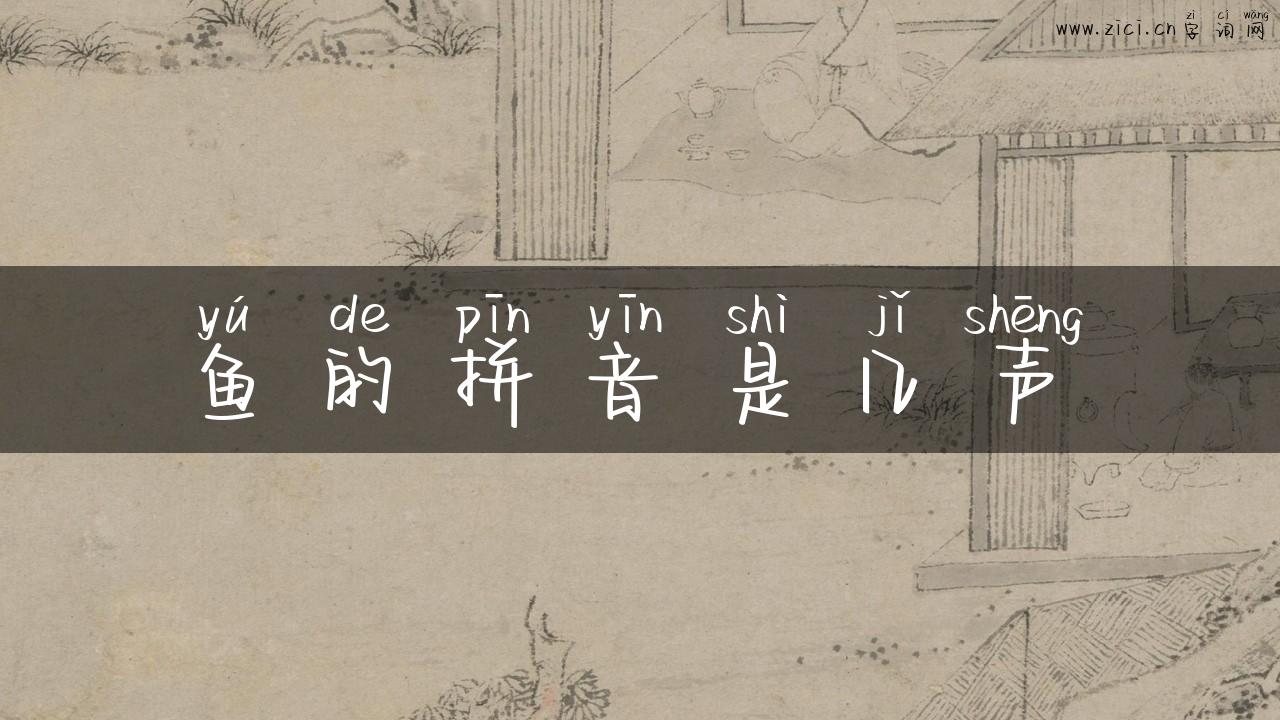 鱼的拼音是几声