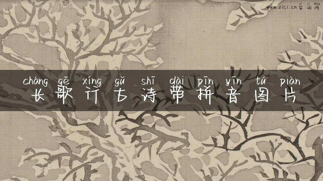 长歌行古诗带拼音图片