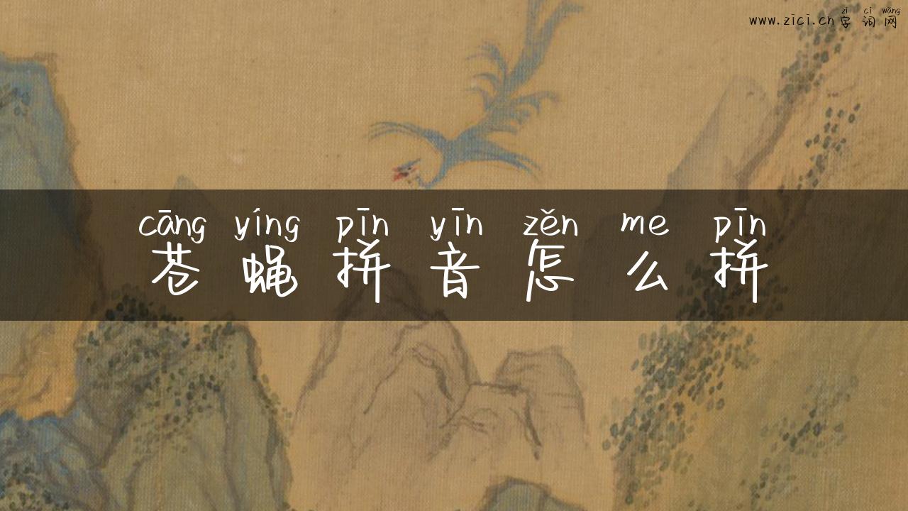 苍蝇拼音怎么拼