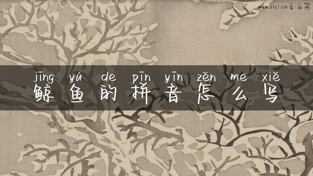 鲸鱼的拼音怎么写