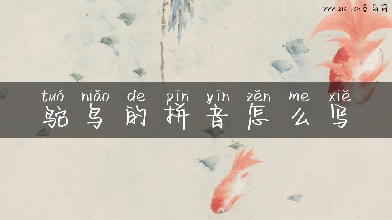 鸵鸟的拼音怎么写