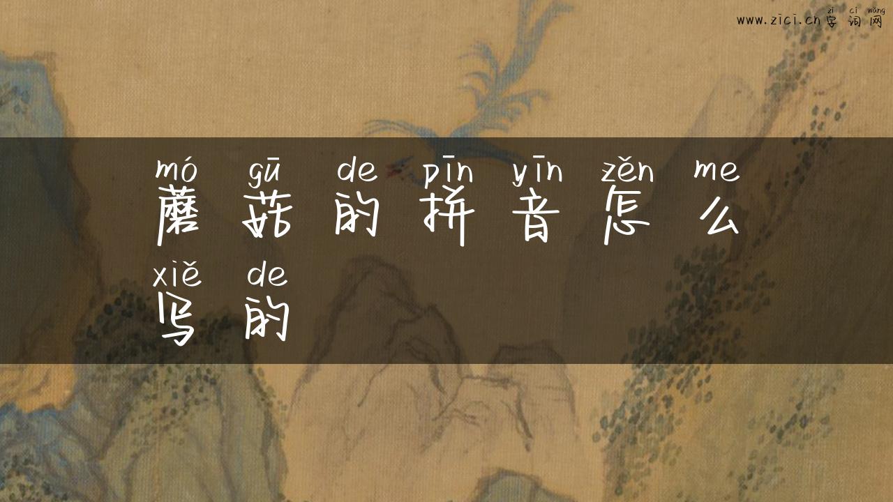 蘑菇的拼音怎么写的