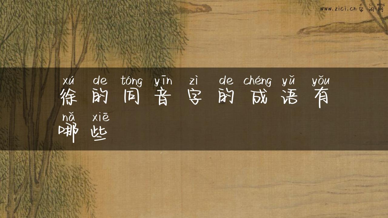 徐的同音字的成语有哪些