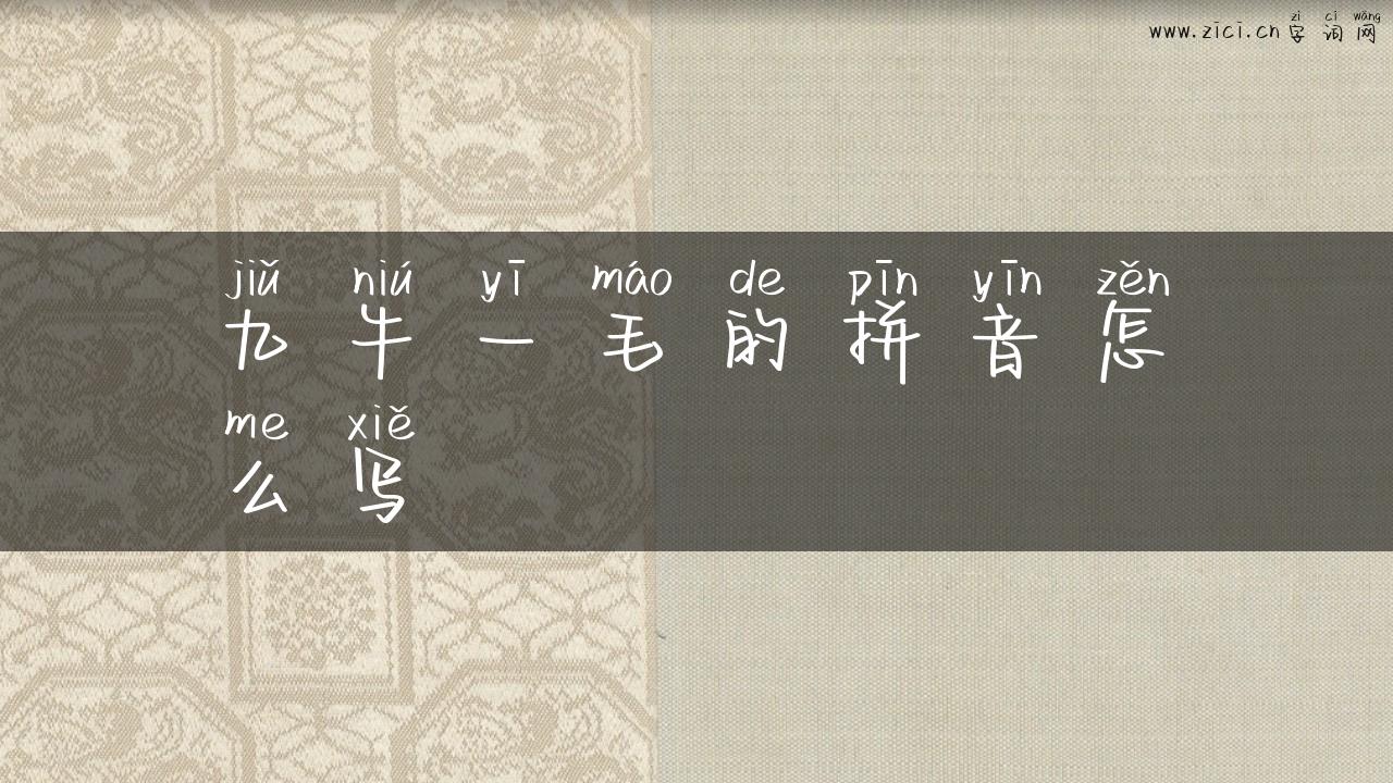 九牛一毛的拼音怎么写