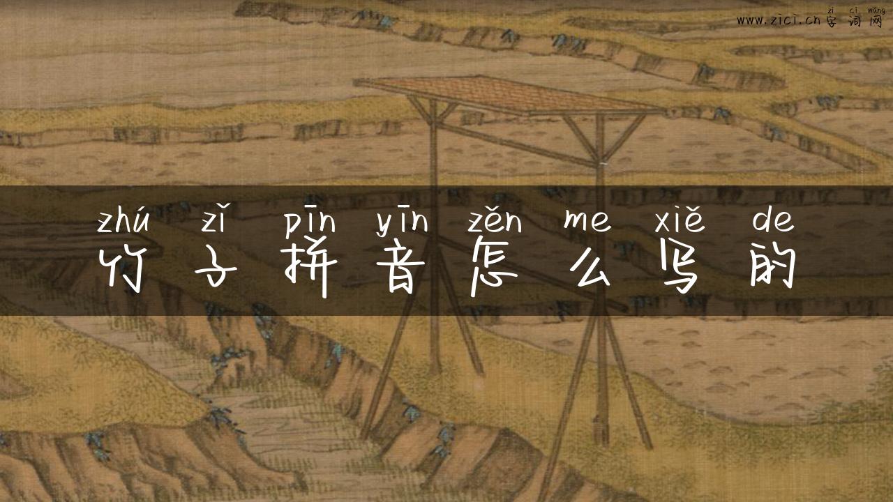 竹子拼音怎么写的