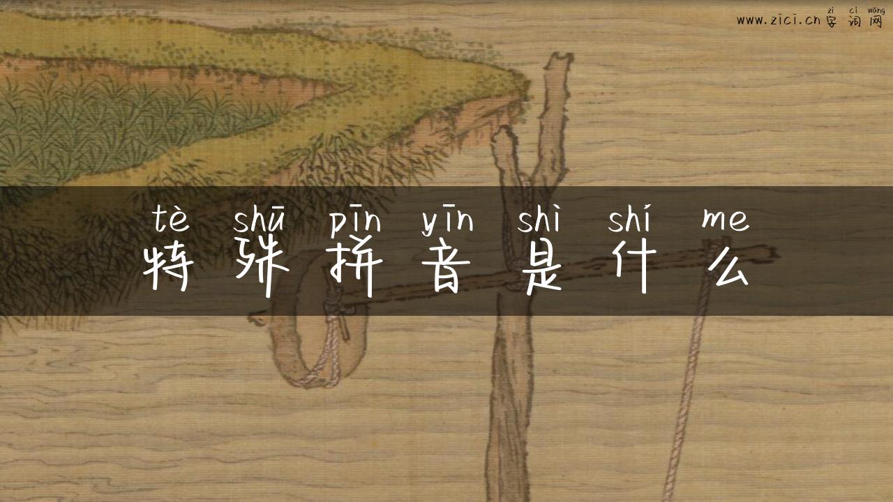 特殊拼音是什么