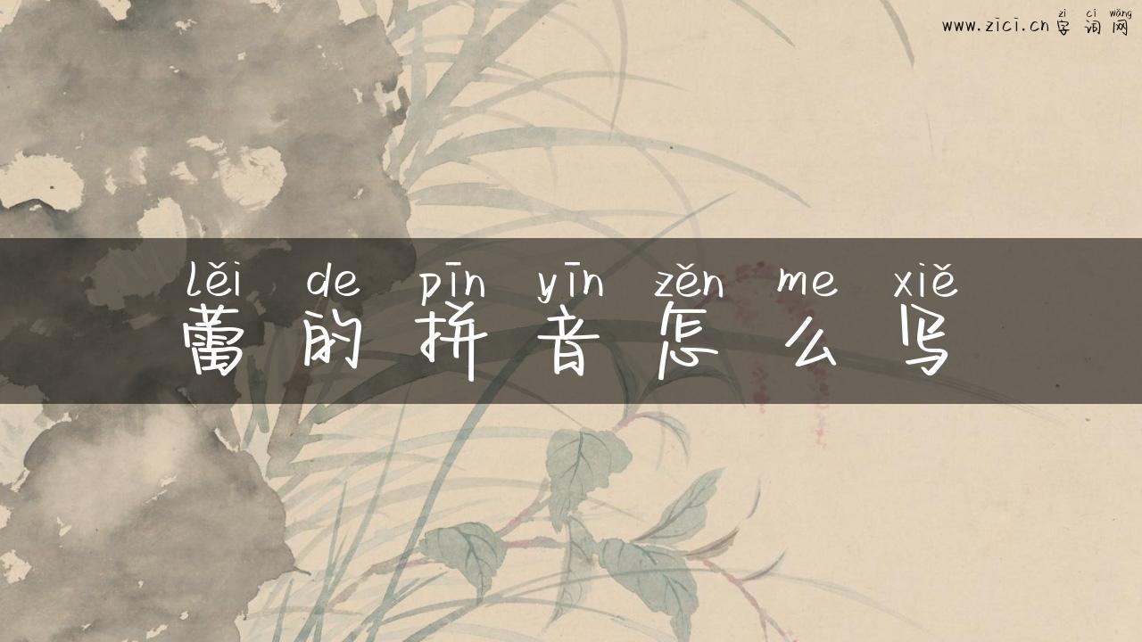 蕾的拼音怎么写