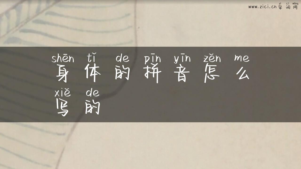 身体的拼音怎么写的