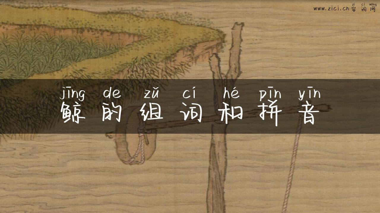 鲸的组词和拼音