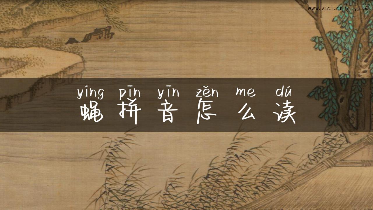 蝇拼音怎么读