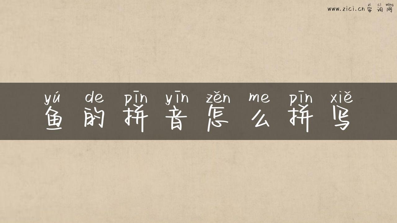 鱼的拼音怎么拼写