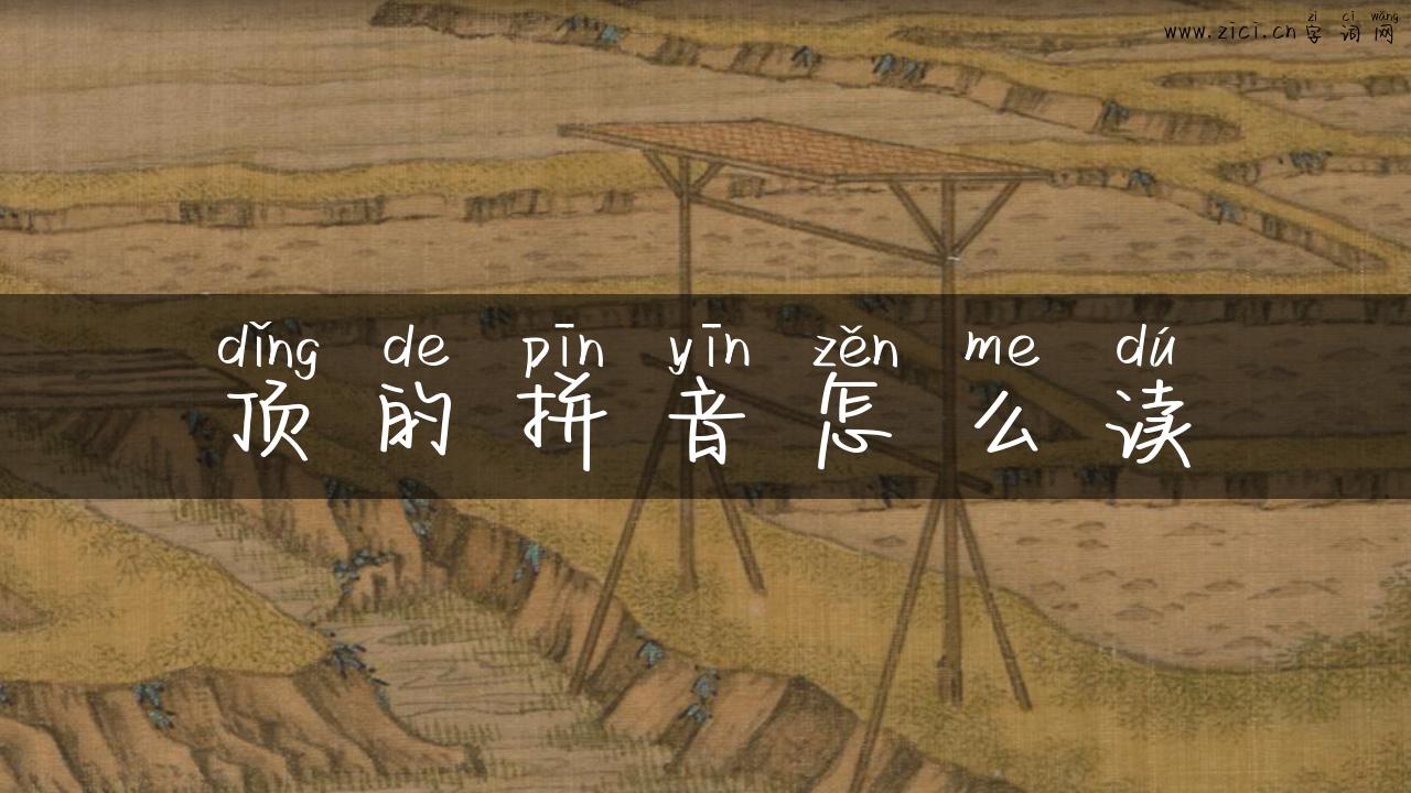 顶的拼音怎么读