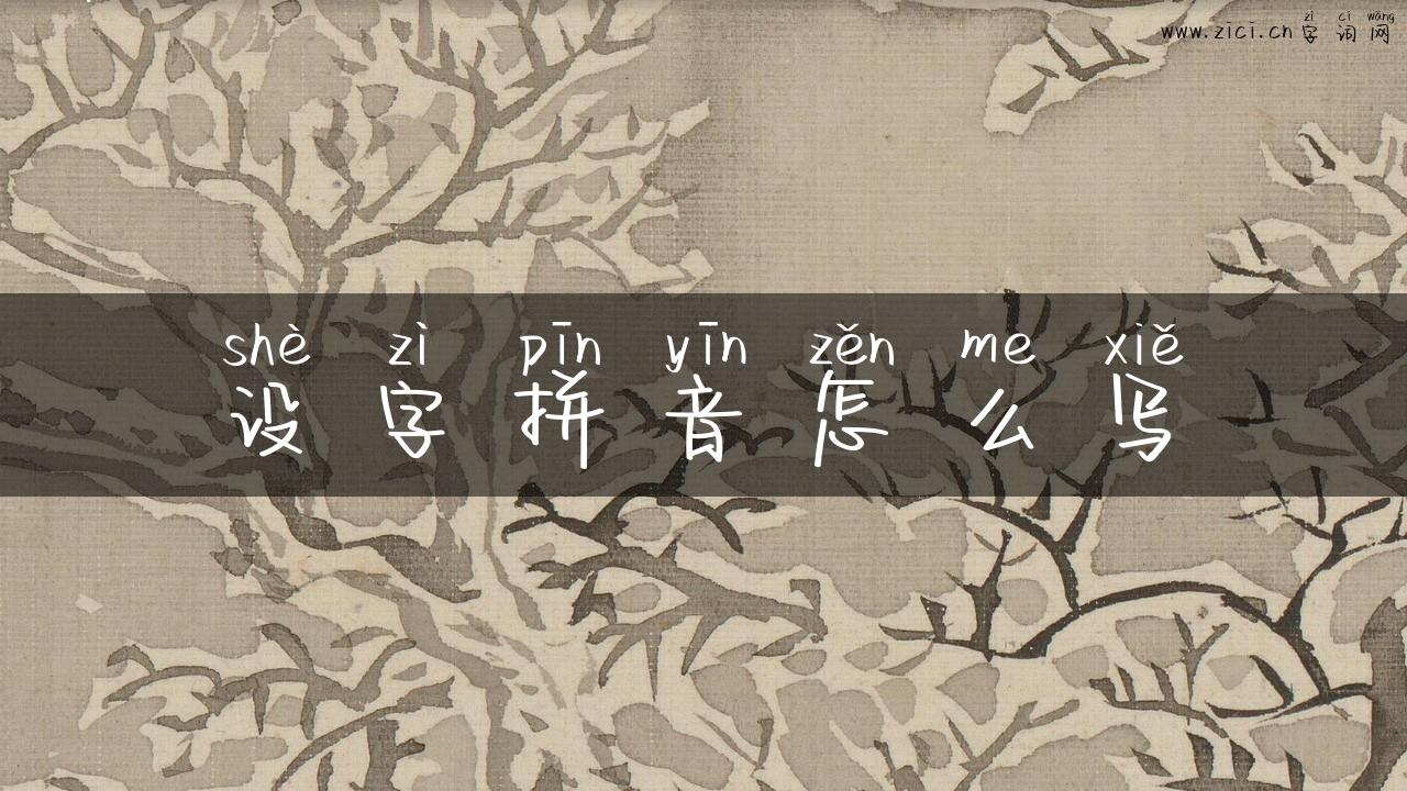 设字拼音怎么写