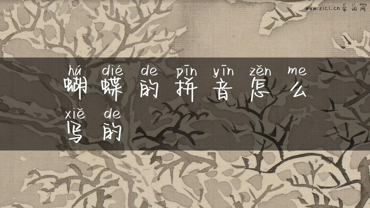 蝴蝶的拼音怎么写的