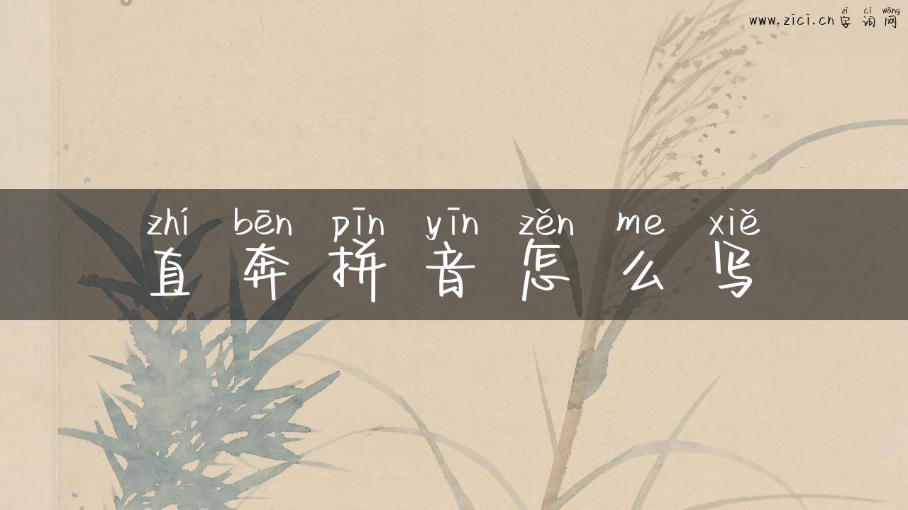 直奔拼音怎么写