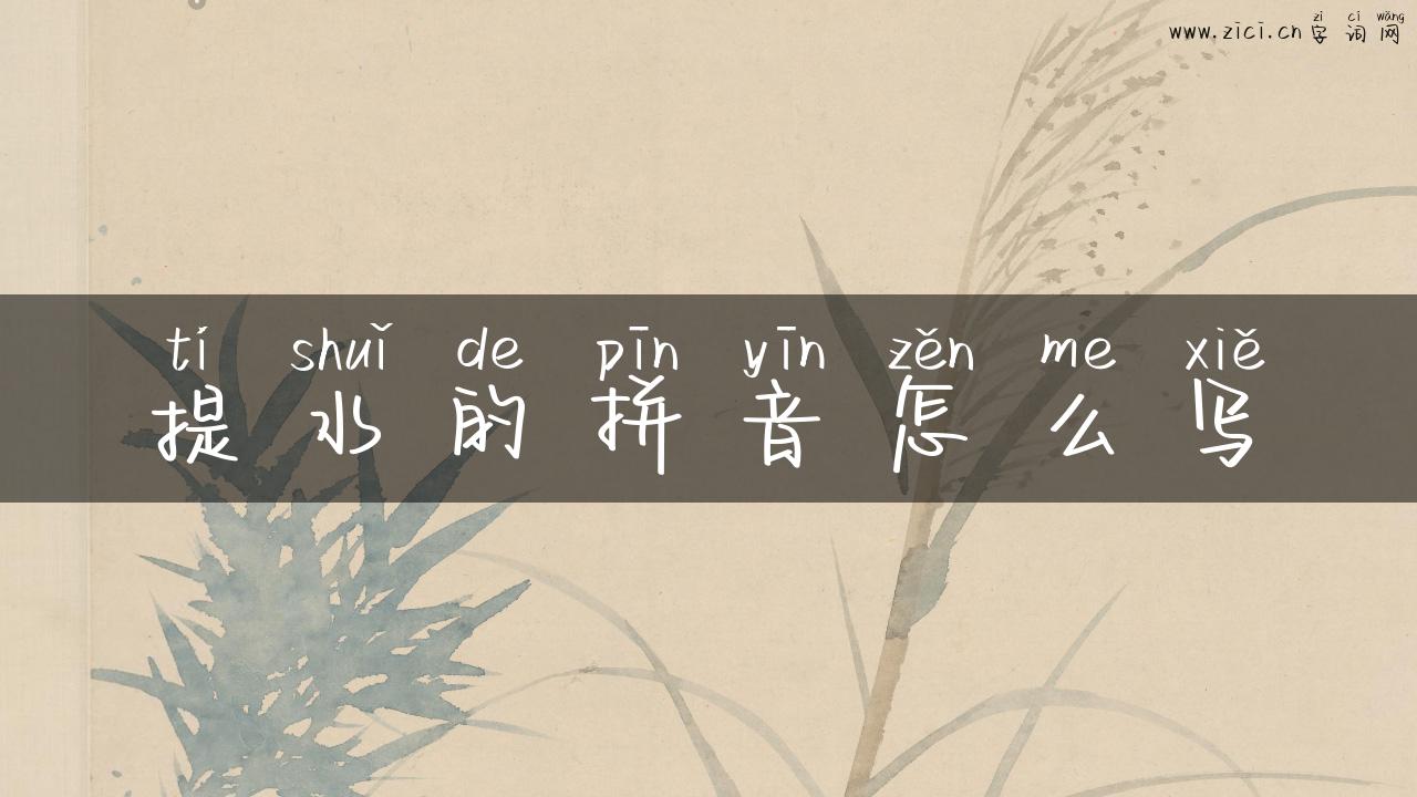 提水的拼音怎么写