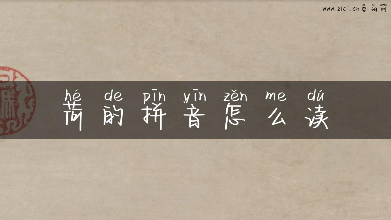 荷的拼音怎么读