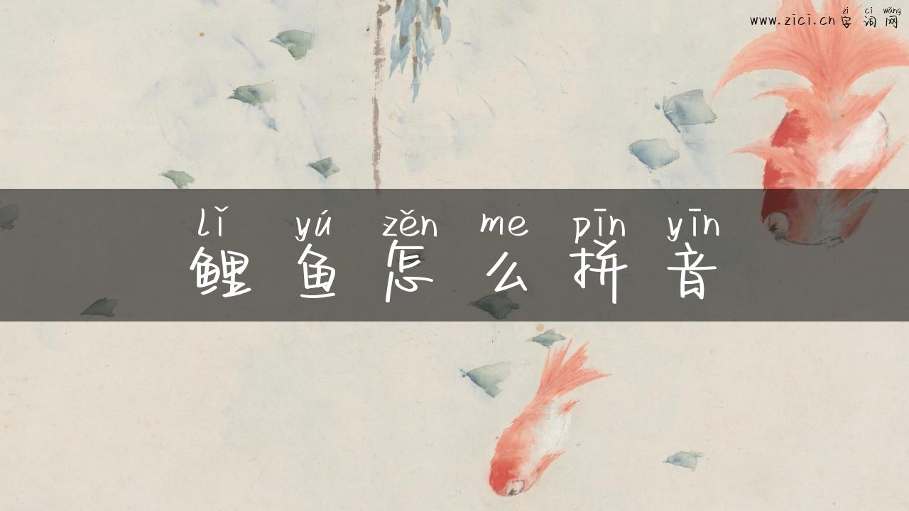 鲤鱼怎么拼音