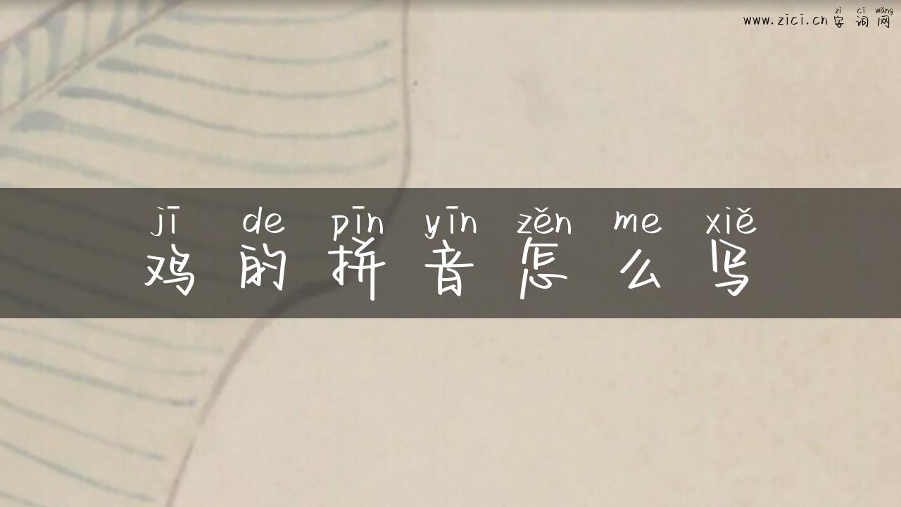 鸡的拼音怎么写