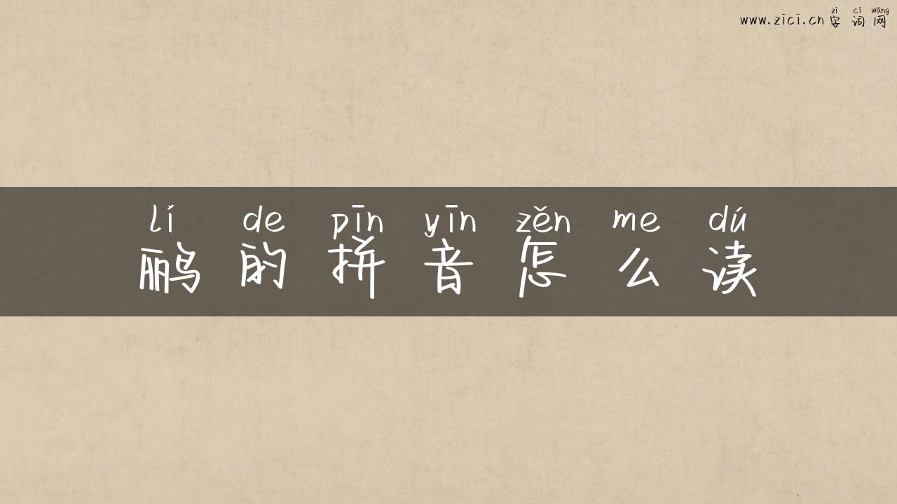 鹂的拼音怎么读