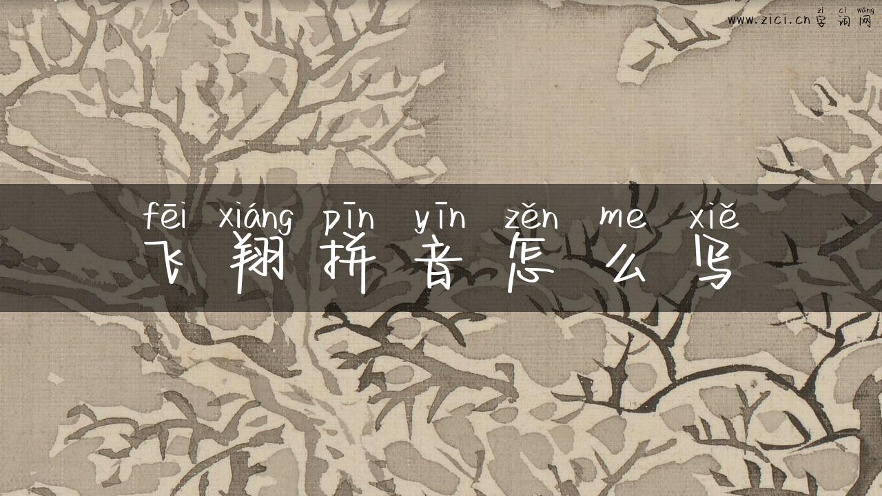 飞翔拼音怎么写