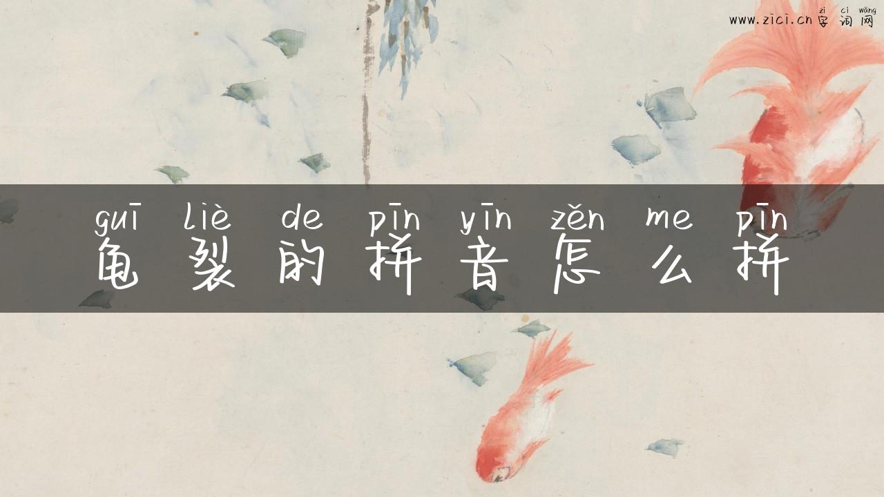龟裂的拼音怎么拼