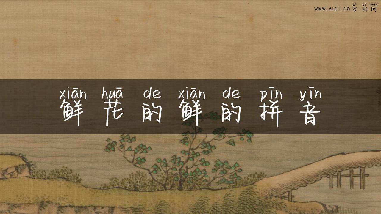 鲜花的鲜的拼音
