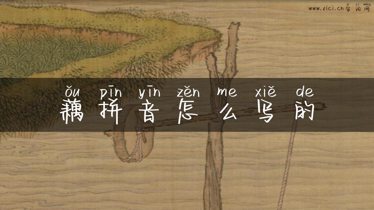 藕拼音怎么写的