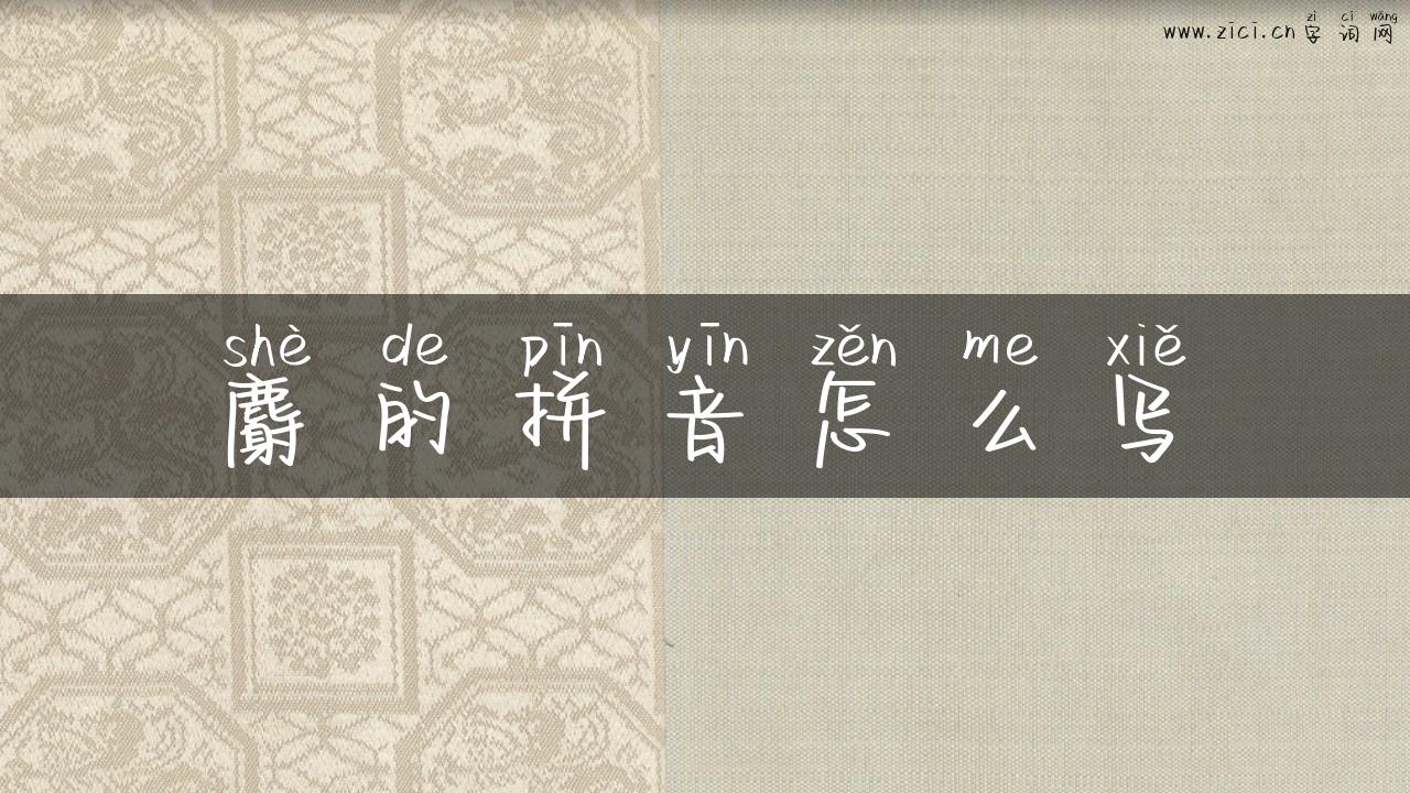麝的拼音怎么写