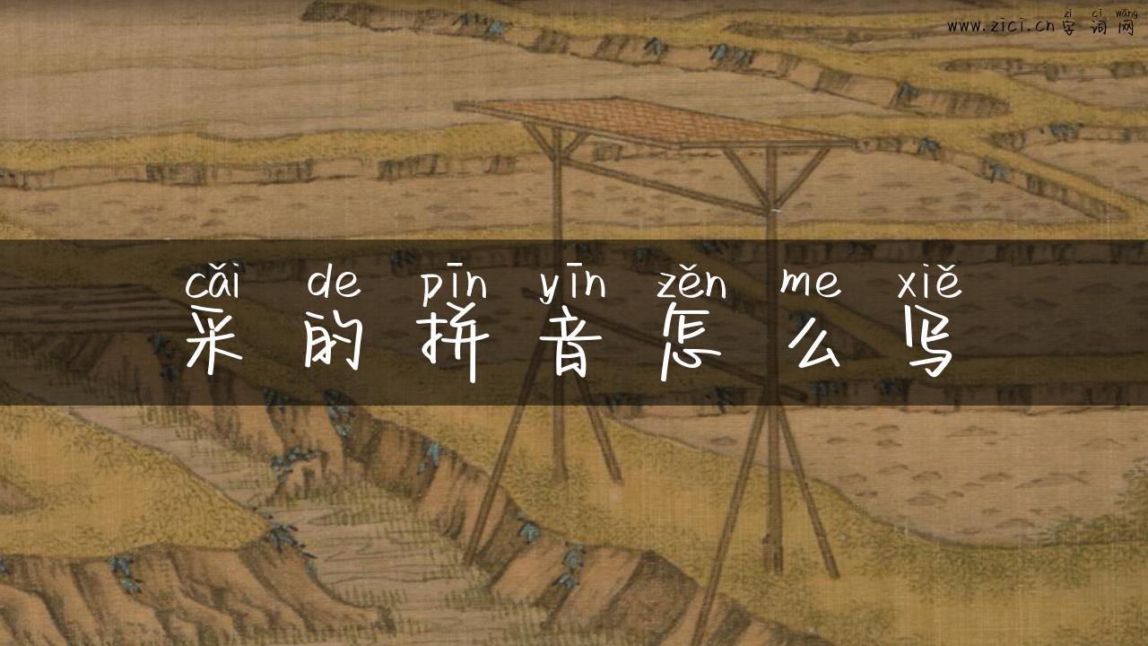 采的拼音怎么写