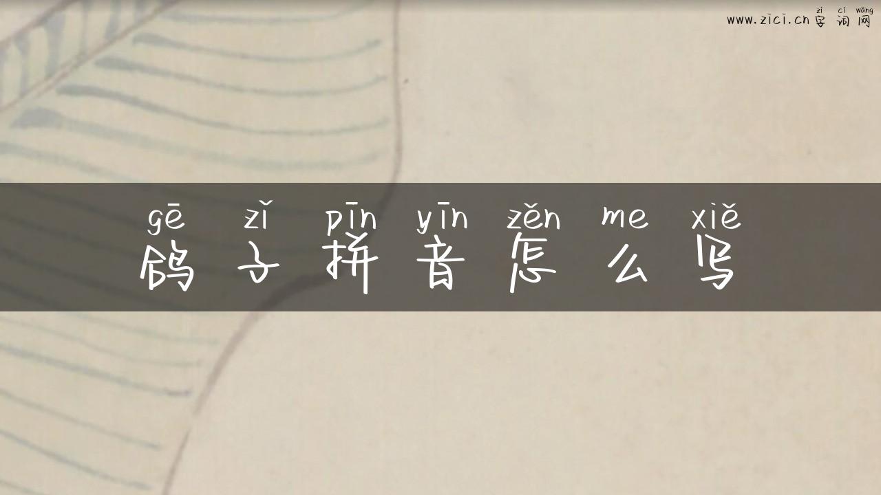 鸽子拼音怎么写
