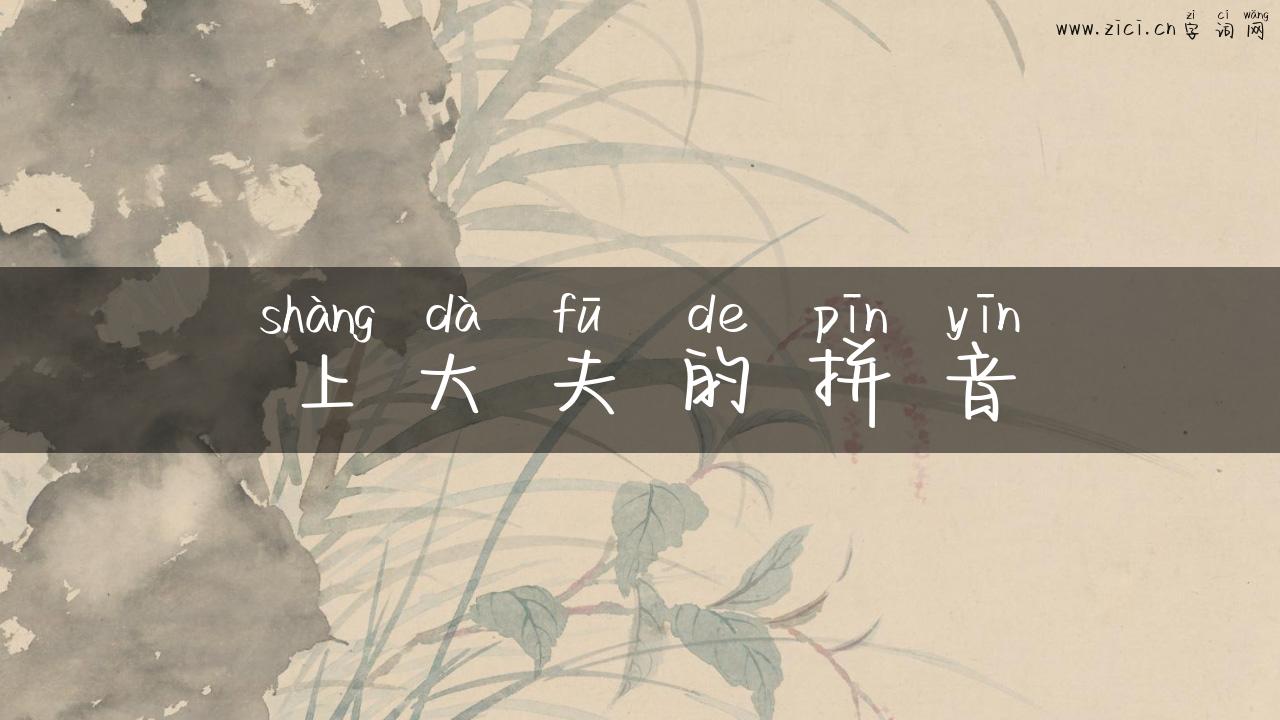 上大夫的拼音