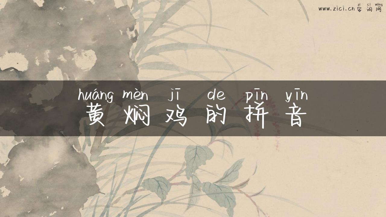 黄焖鸡的拼音