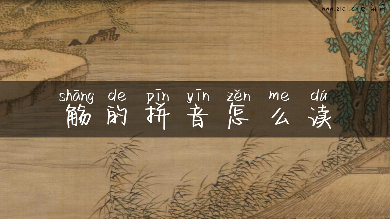 觞的拼音怎么读