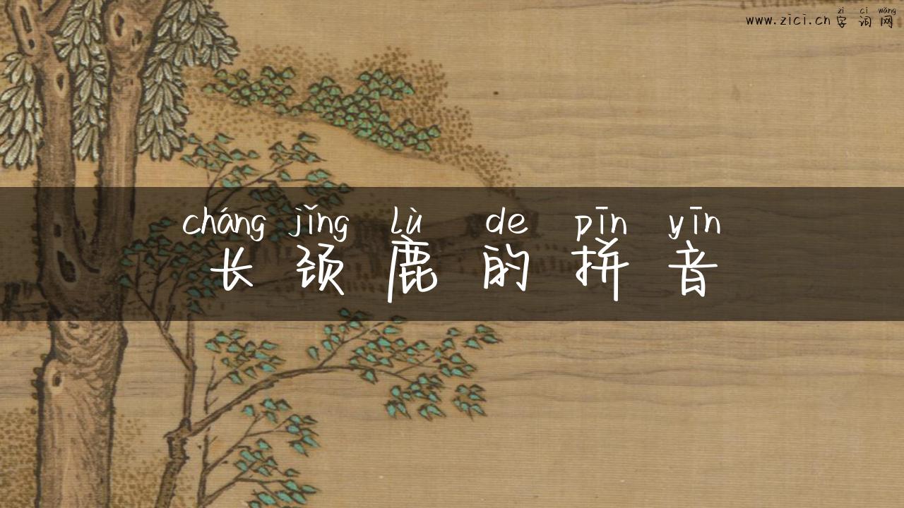 长颈鹿的拼音