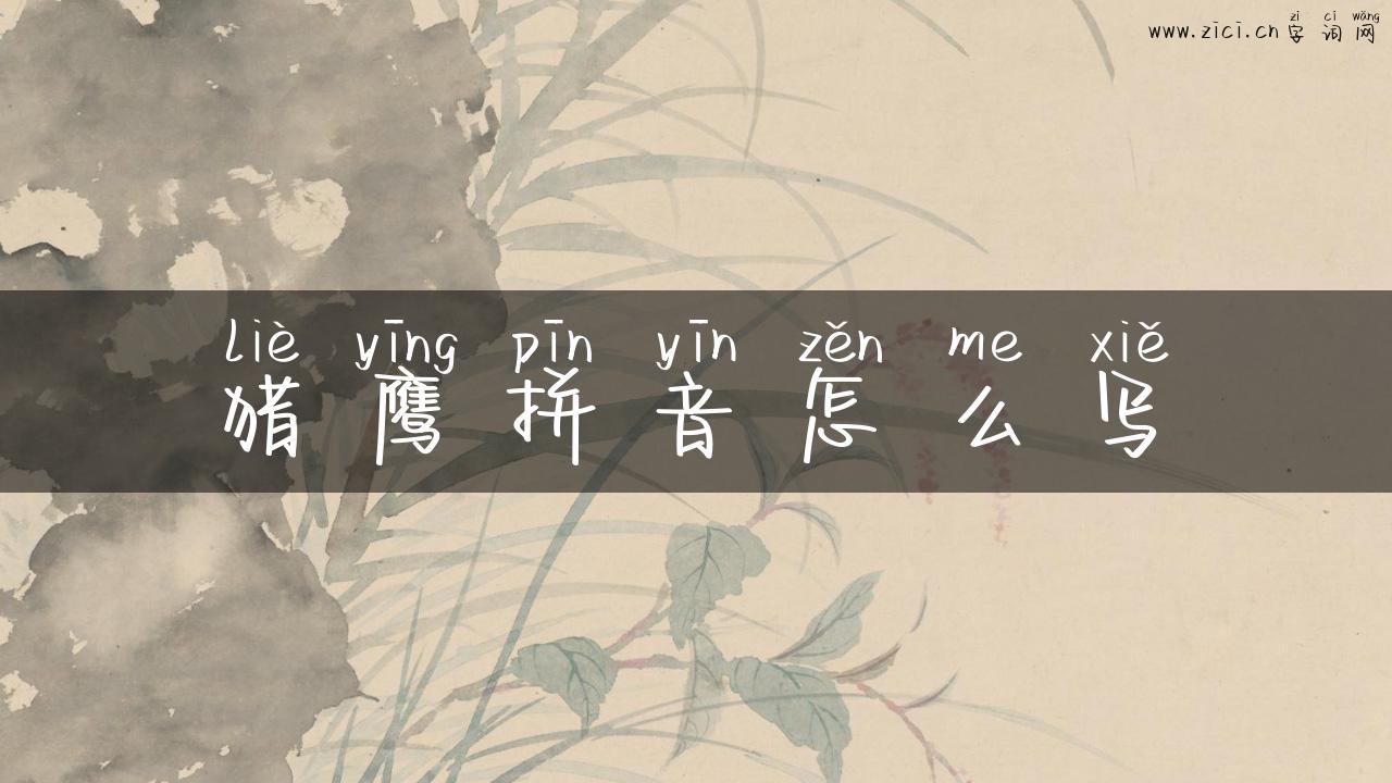 猎鹰拼音怎么写