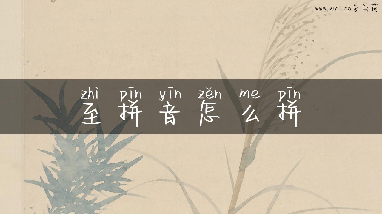 至拼音怎么拼