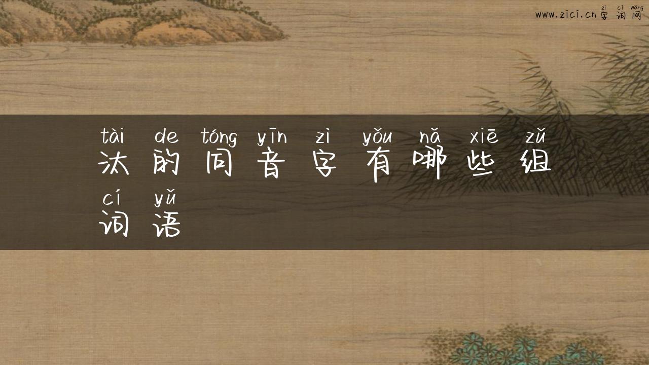 汰的同音字有哪些组词语