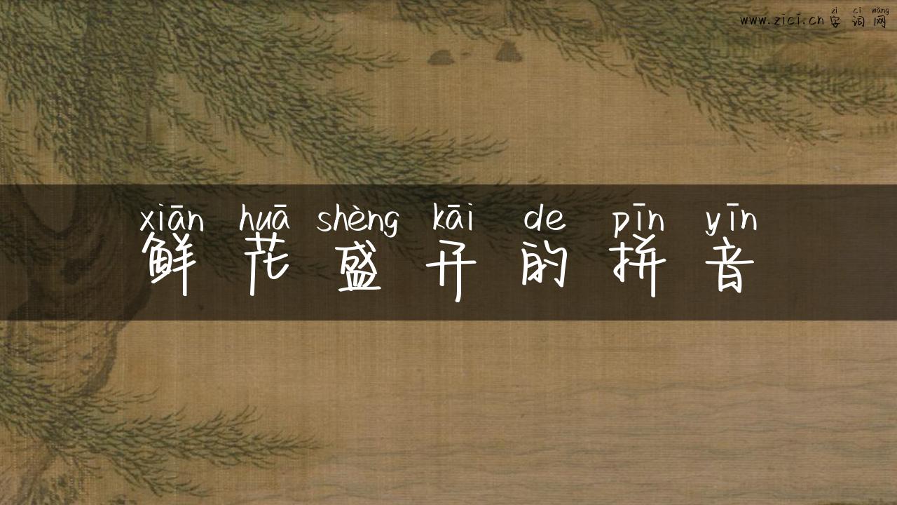 鲜花盛开的拼音