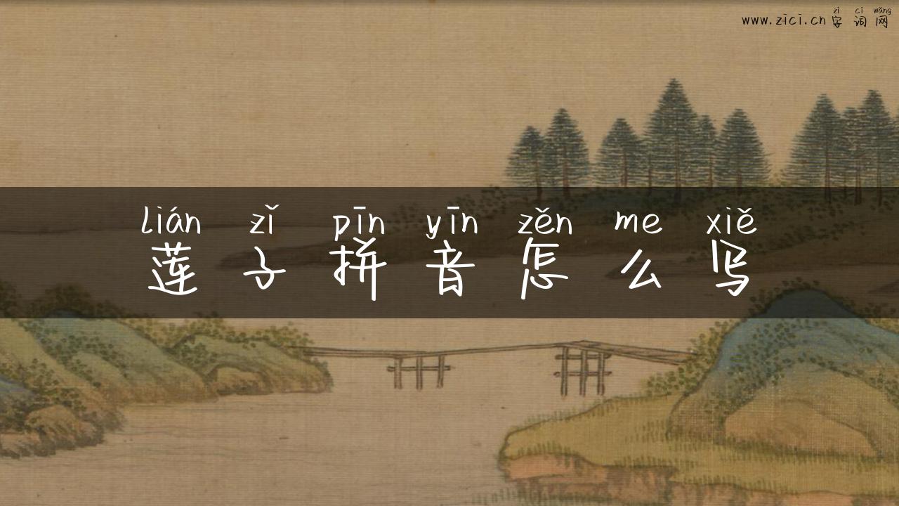 莲子拼音怎么写