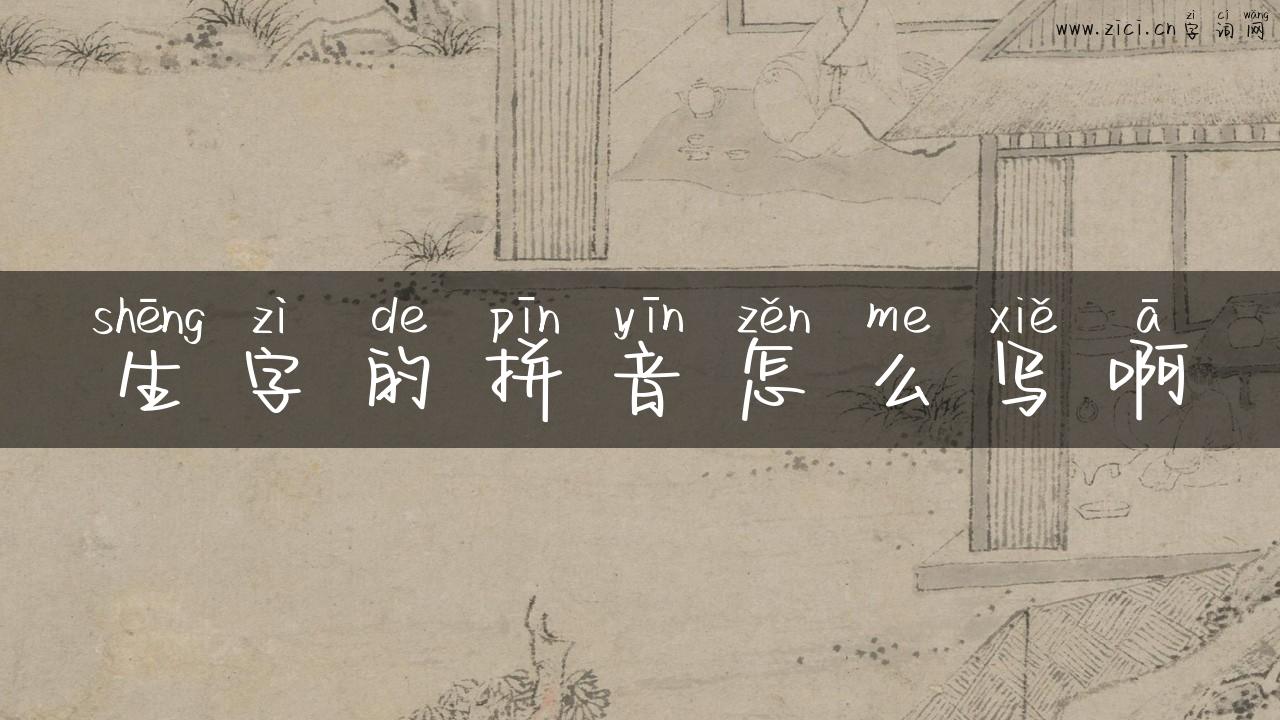 生字的拼音怎么写啊