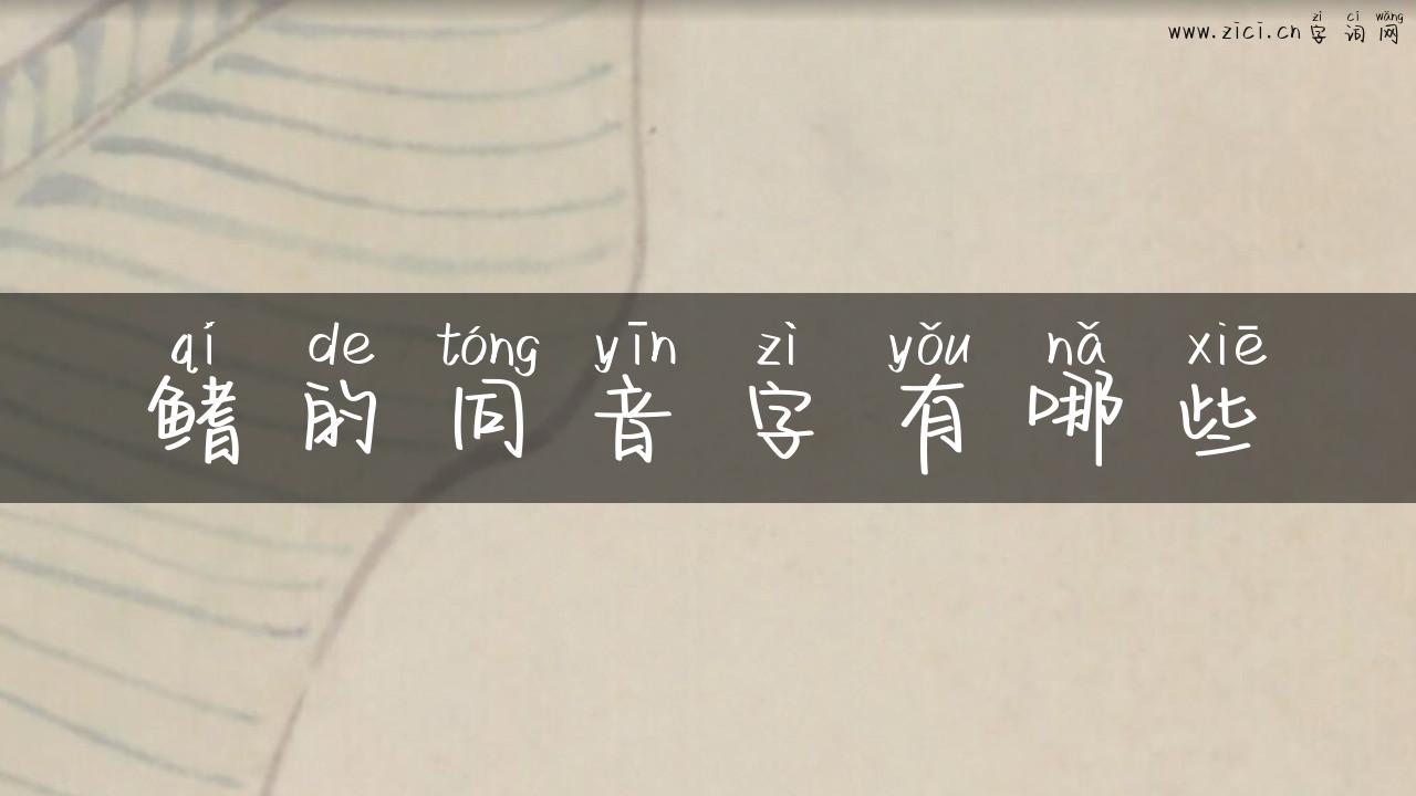 鳍的同音字有哪些