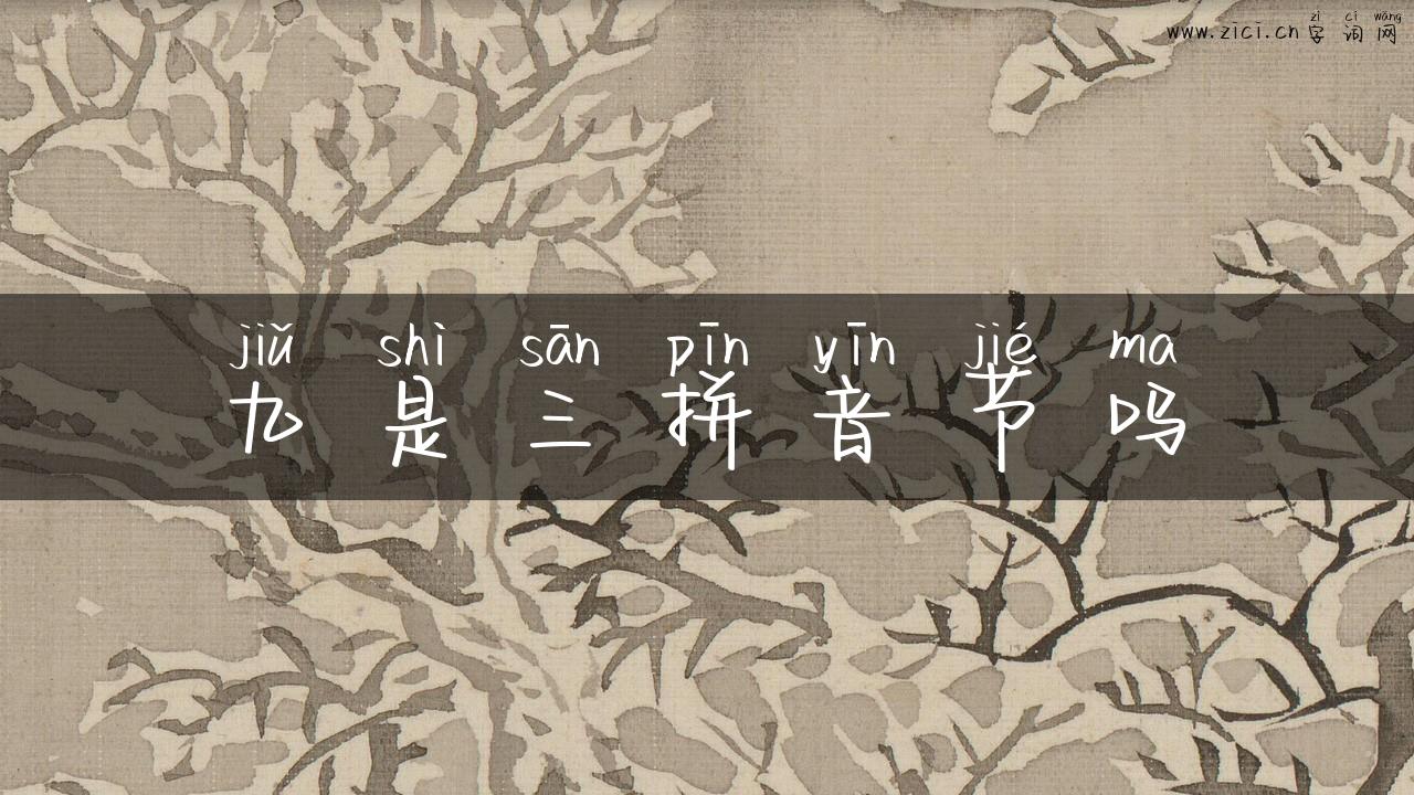 九是三拼音节吗