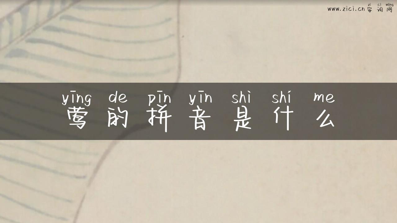 莺的拼音是什么