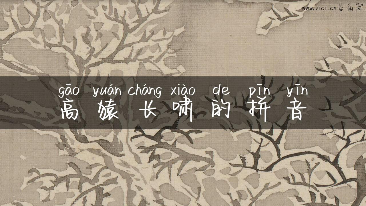 高猿长啸的拼音