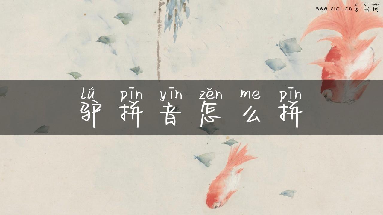 驴拼音怎么拼
