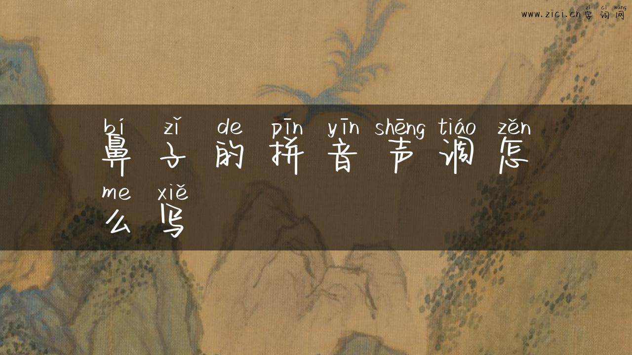 鼻子的拼音声调怎么写