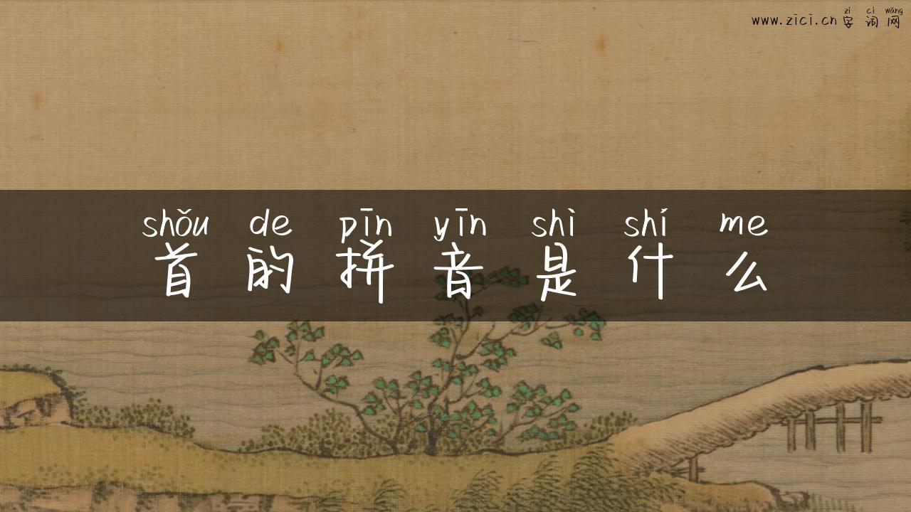 首的拼音是什么