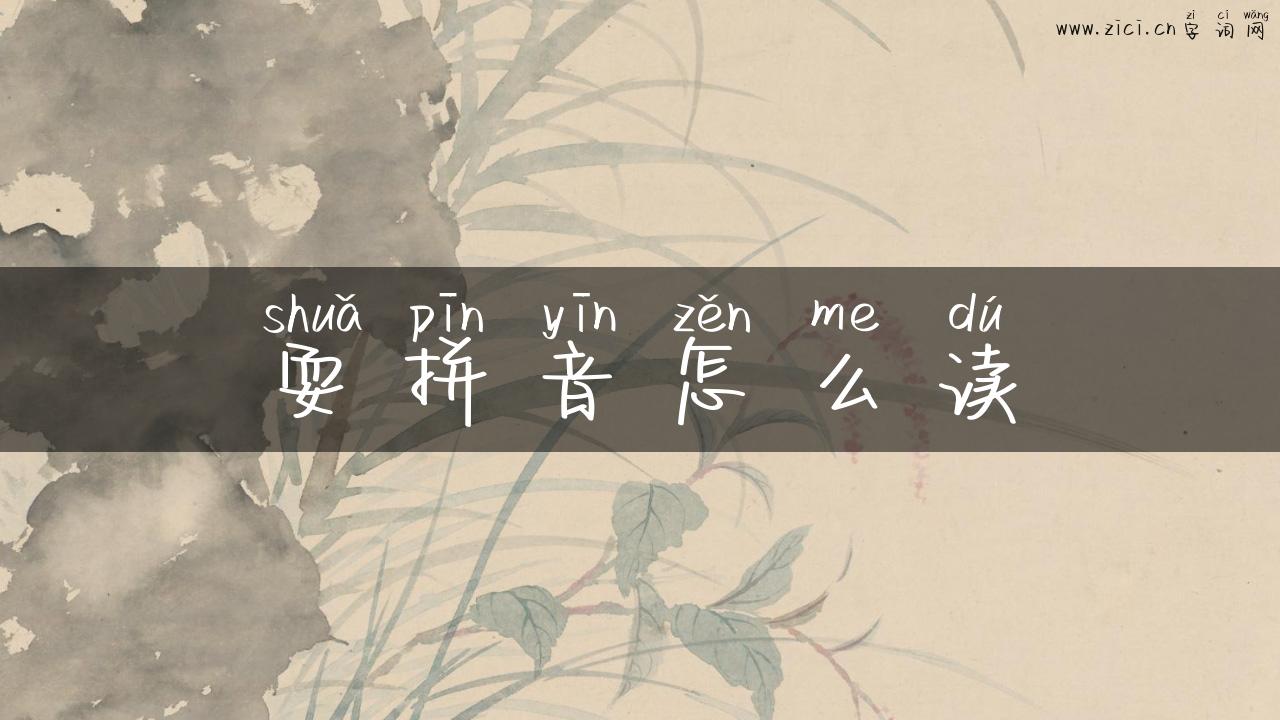 耍拼音怎么读